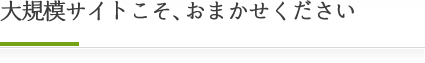 大規模サイトこそ、おまかせください